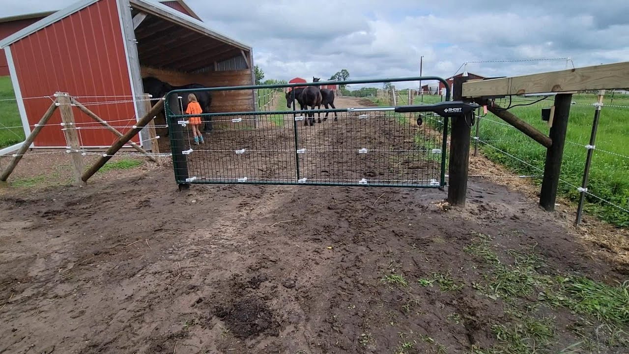 AUTOMATIC GATE TIMER OPENER for Horses Livestock
