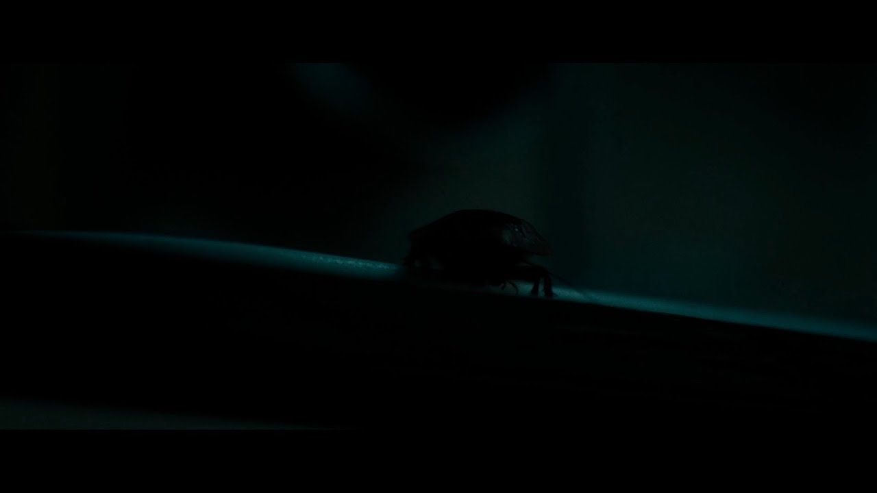 Saint Maud - God Speaking (Film Clip)