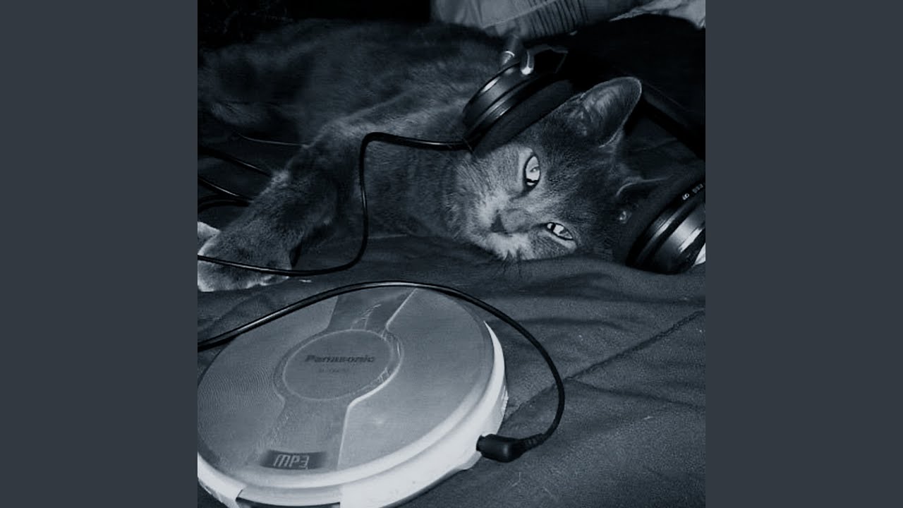 reject (super slowed)