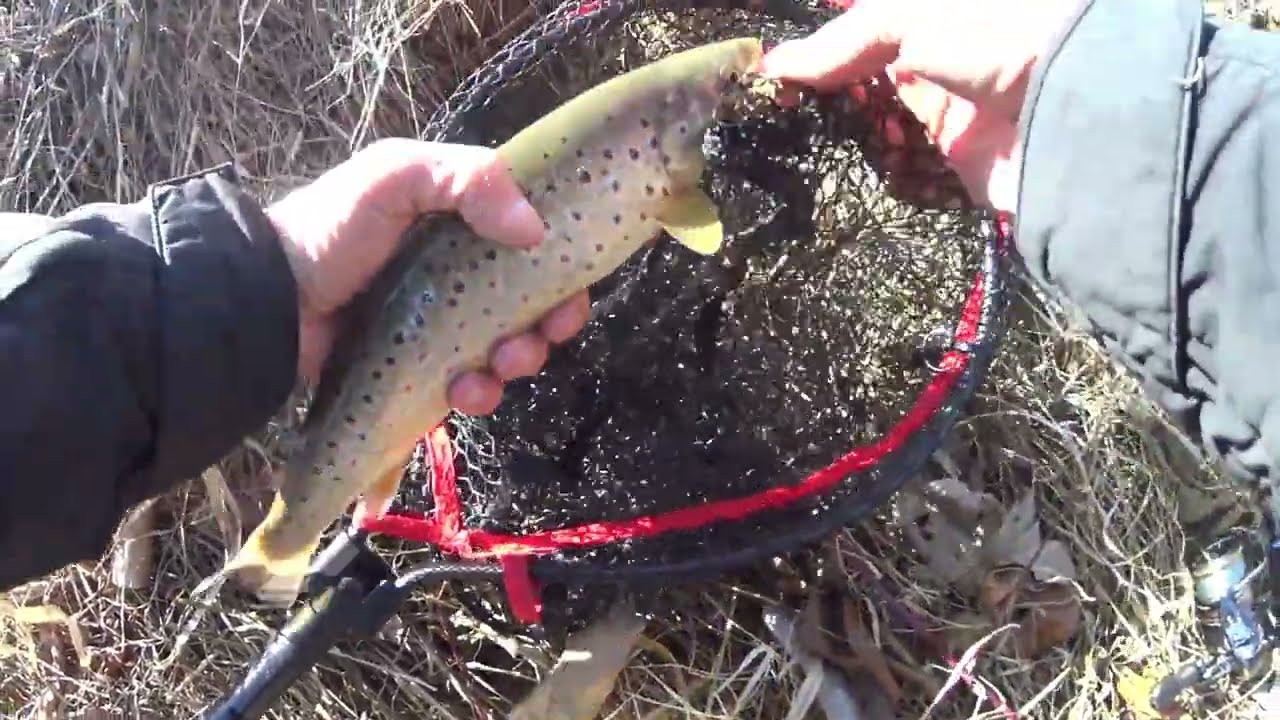 Pstrągi w kwietniu, Woblery z pracowni Roberta Morelli, spinning w kwietniu