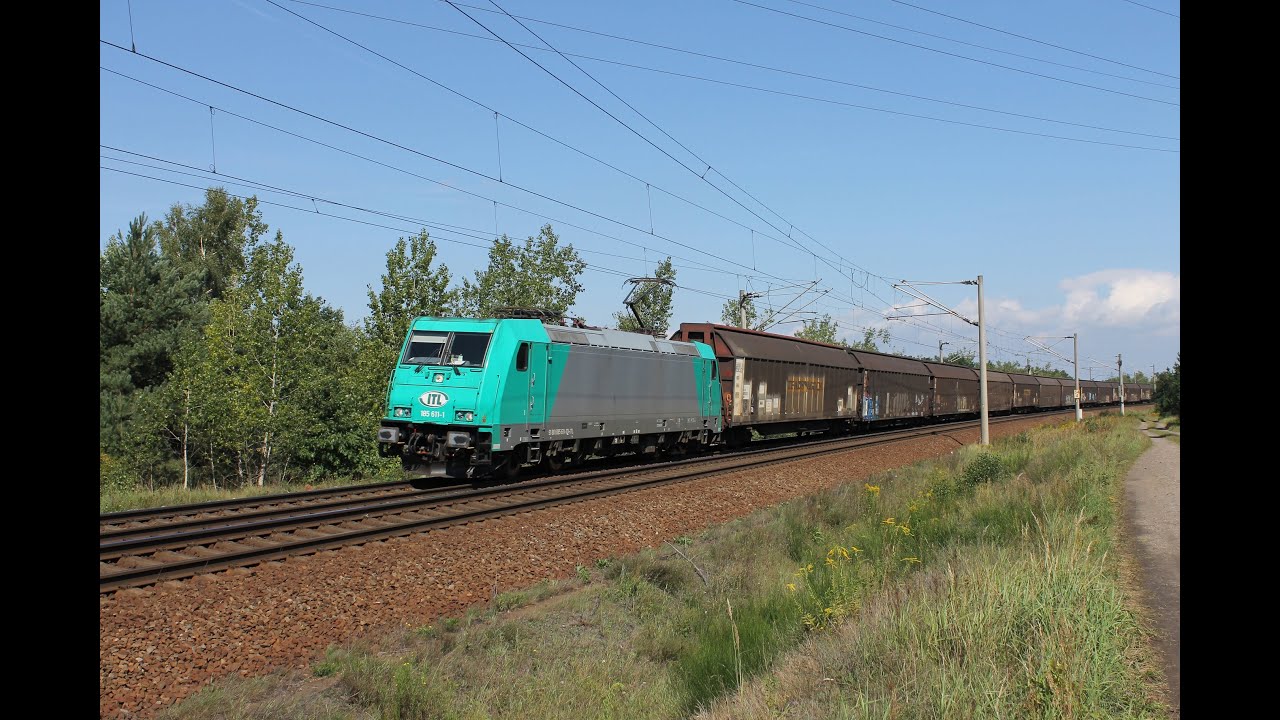 TDX44 F&uuml;chse, Hamster & G&uuml;terz&uuml;ge - Willkommen in Petersroda [29.8.2015]