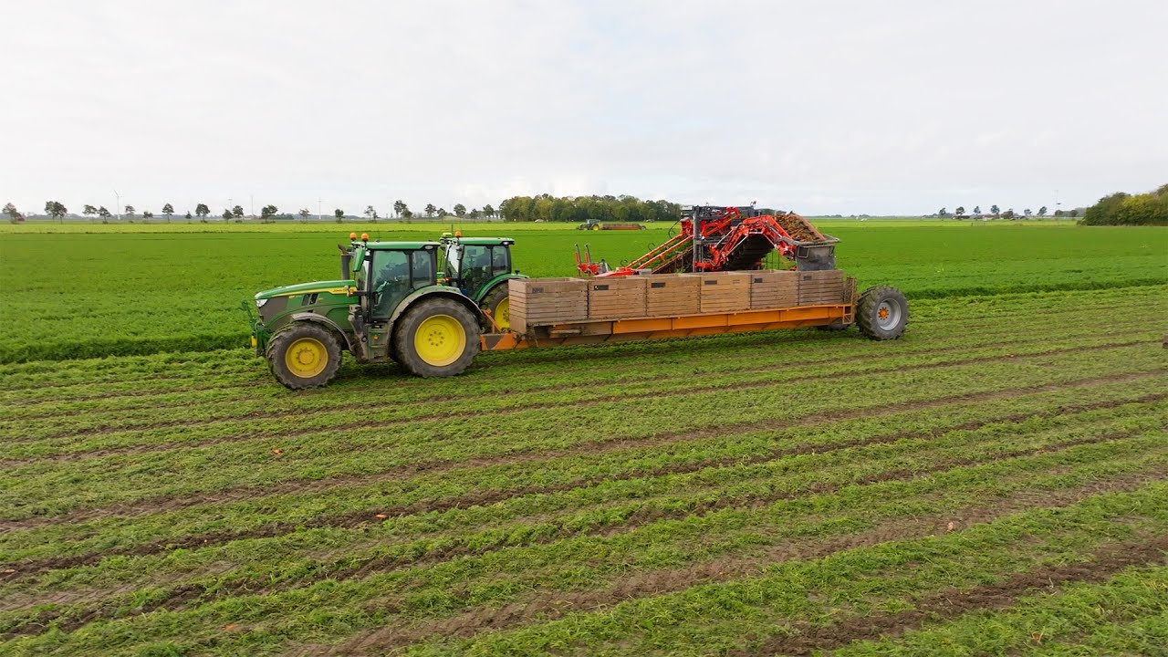 Oogst, grondbewerking en bewaren // Wordt er wat verdient? // Najaar bij Van Liere Landbouw
