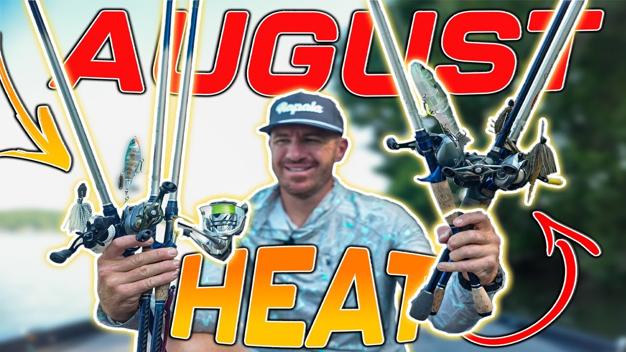 TOP BAITS of the MONTH ( August 2025 Edition 4K )