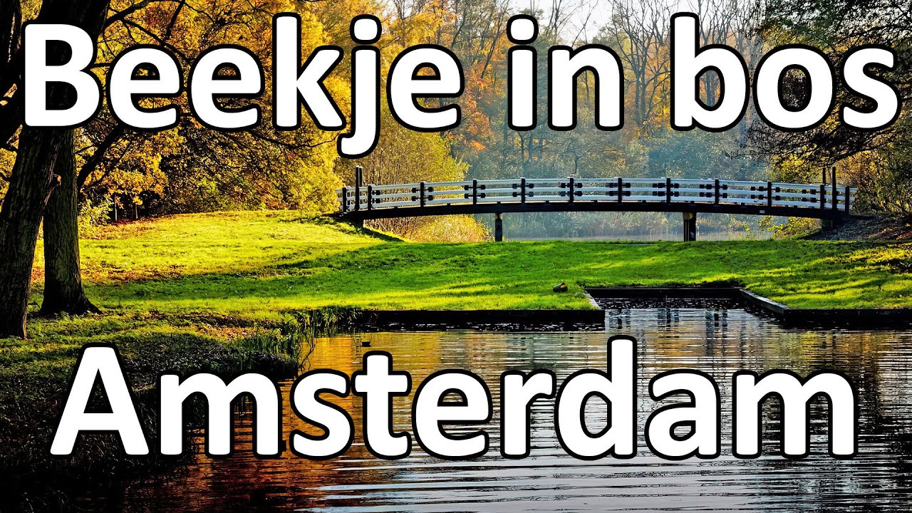 Beekje in het bos | ASMR Water in bos geluiden | Water wat loopt door het bos | Amsterdam