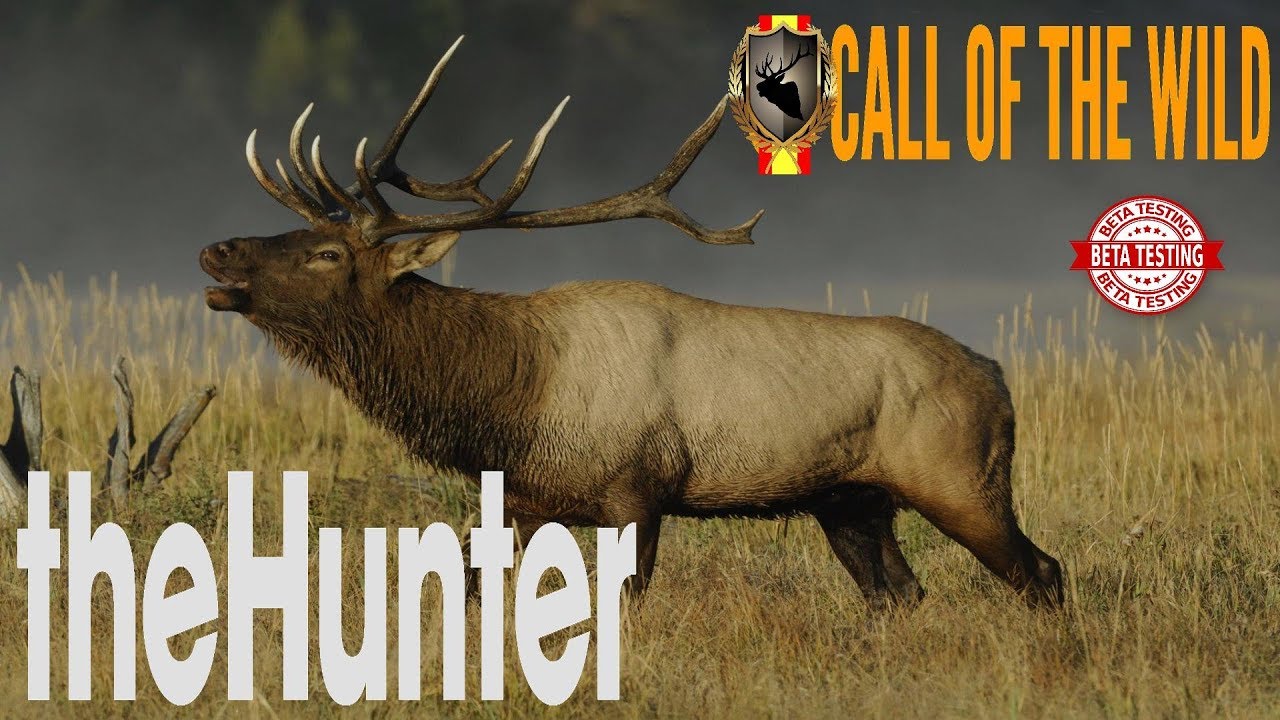 the hunter call of the wild - EASTER EGG MULTIPLAYER LAYTON LAKE BETA TESTING - SPANISH HUNTERS #137