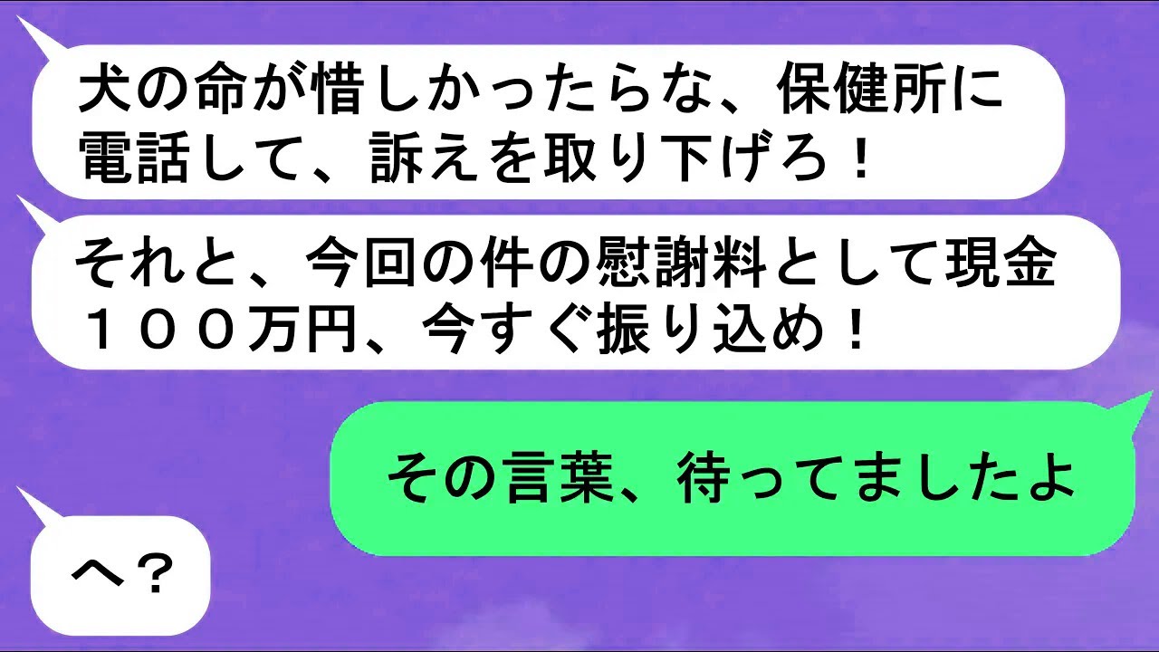 【LINE】同僚に譲った子犬が病気に・・・多額の治療費を請求され【スカッと】