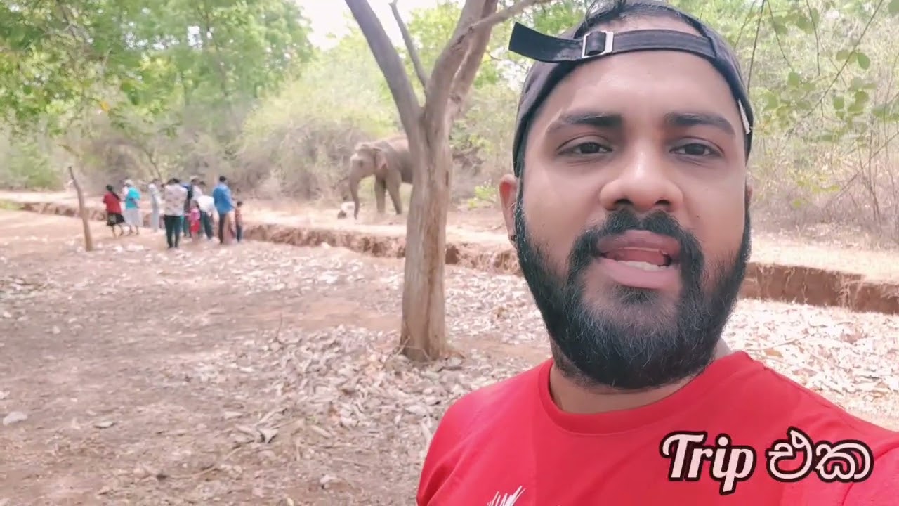වේලුන උඩවලව | Trip එක