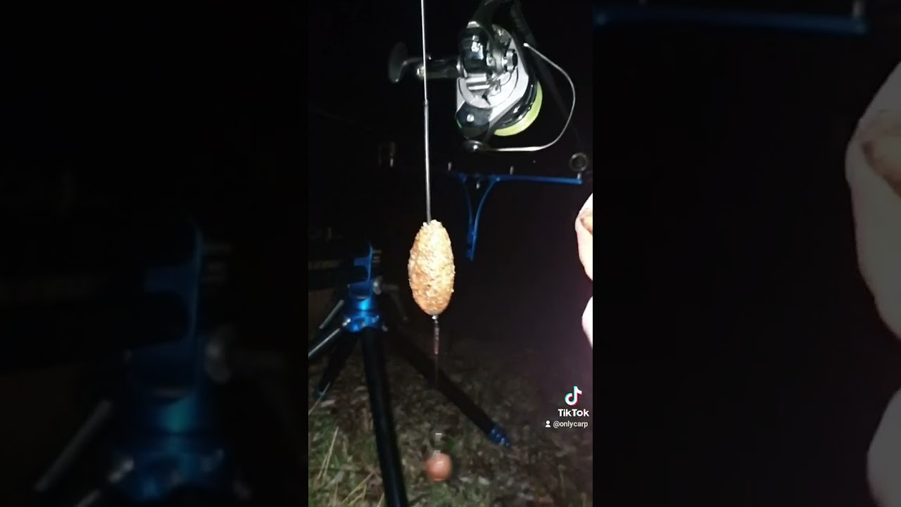 #boilies