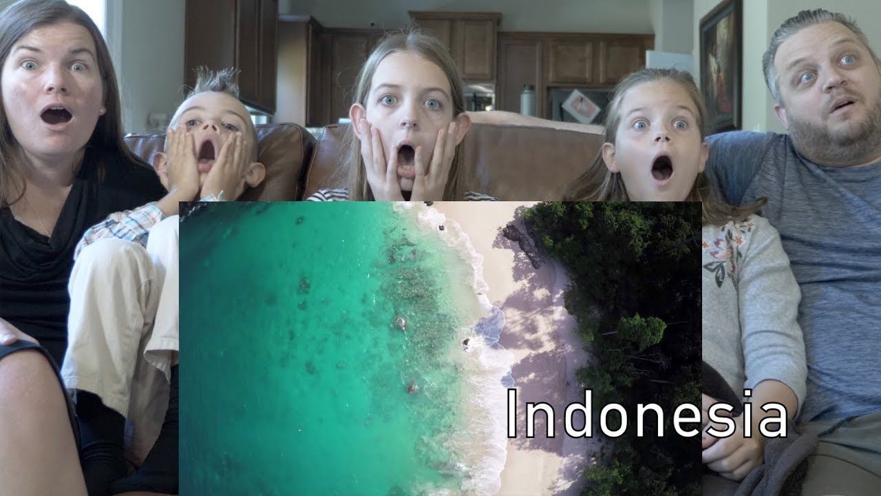 REACTION TO WONDERFUL INDONESIA