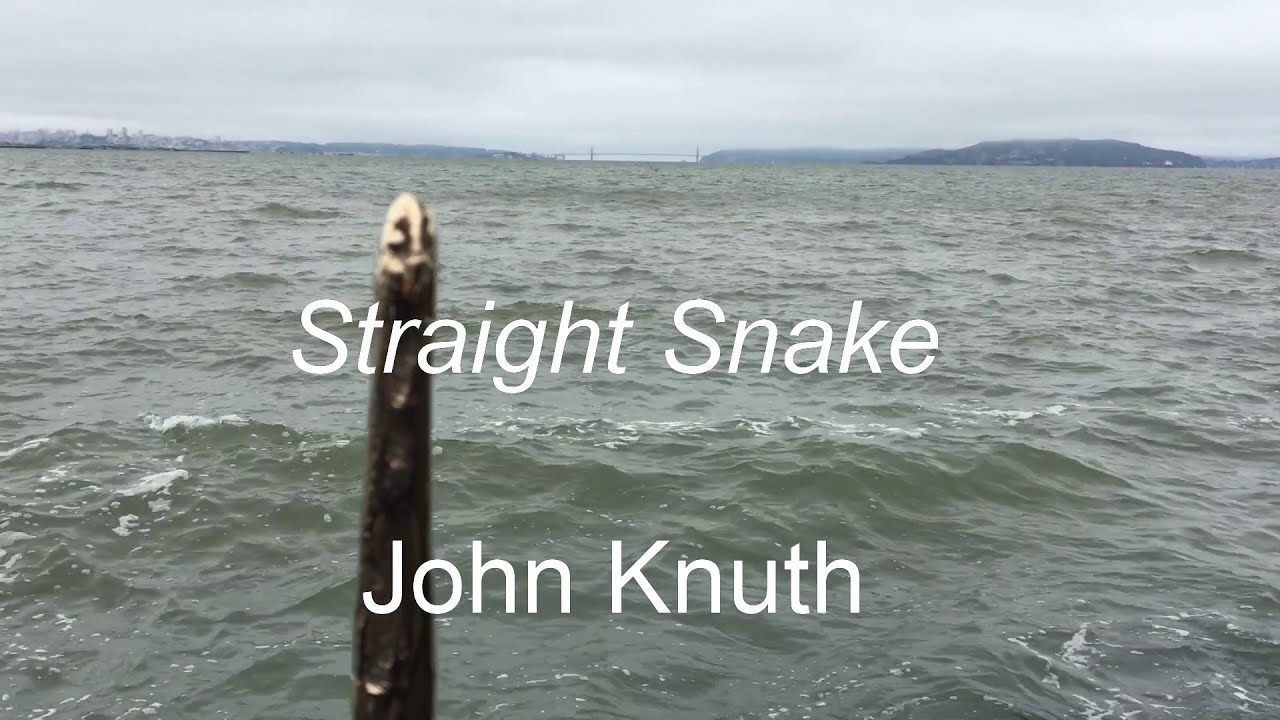 John Knuth - Straight Snake - 2020