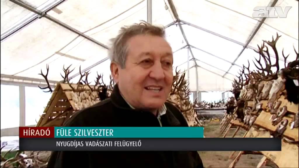 Óriási trófeák, gigantikus kiállítás