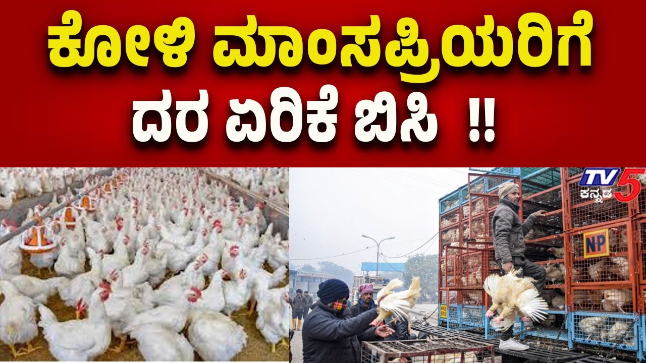ಕೋಳಿ ಮಾಂಸಪ್ರಿಯರಿಗೆ ದರ ಏರಿಕೆ ಬಿಸಿ | Price Hike Shock for Chicken Lovers..! | Tv5 Kannada