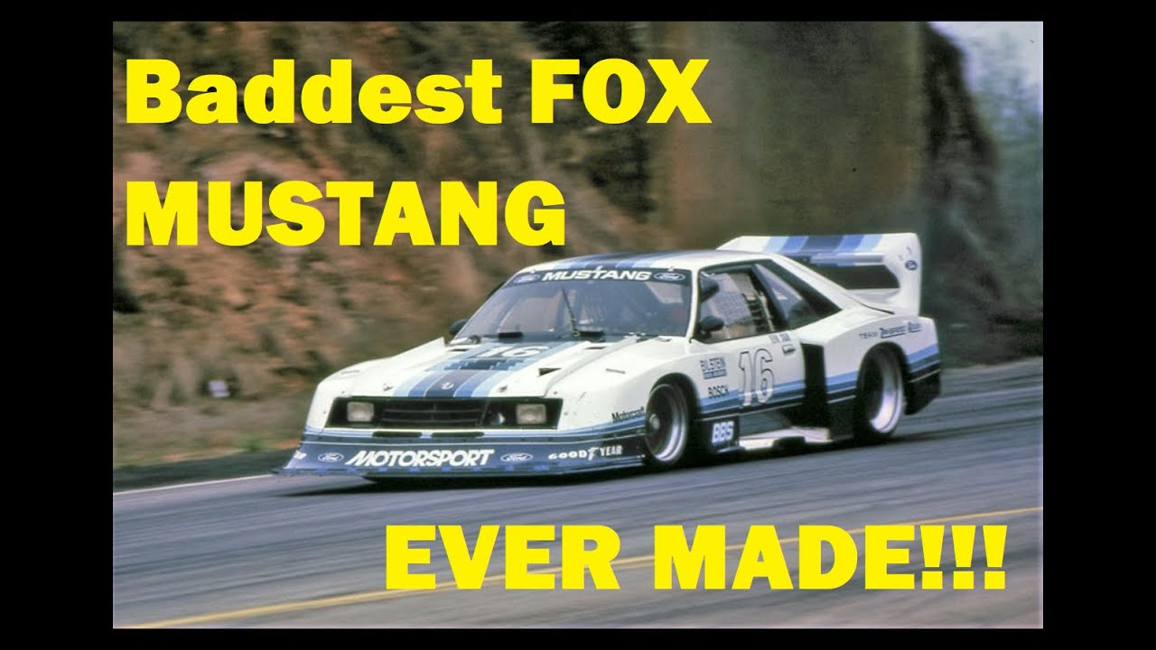 The Fox Body Porsche Killer:  The Story of the 1981 Zakspeed Mustang.