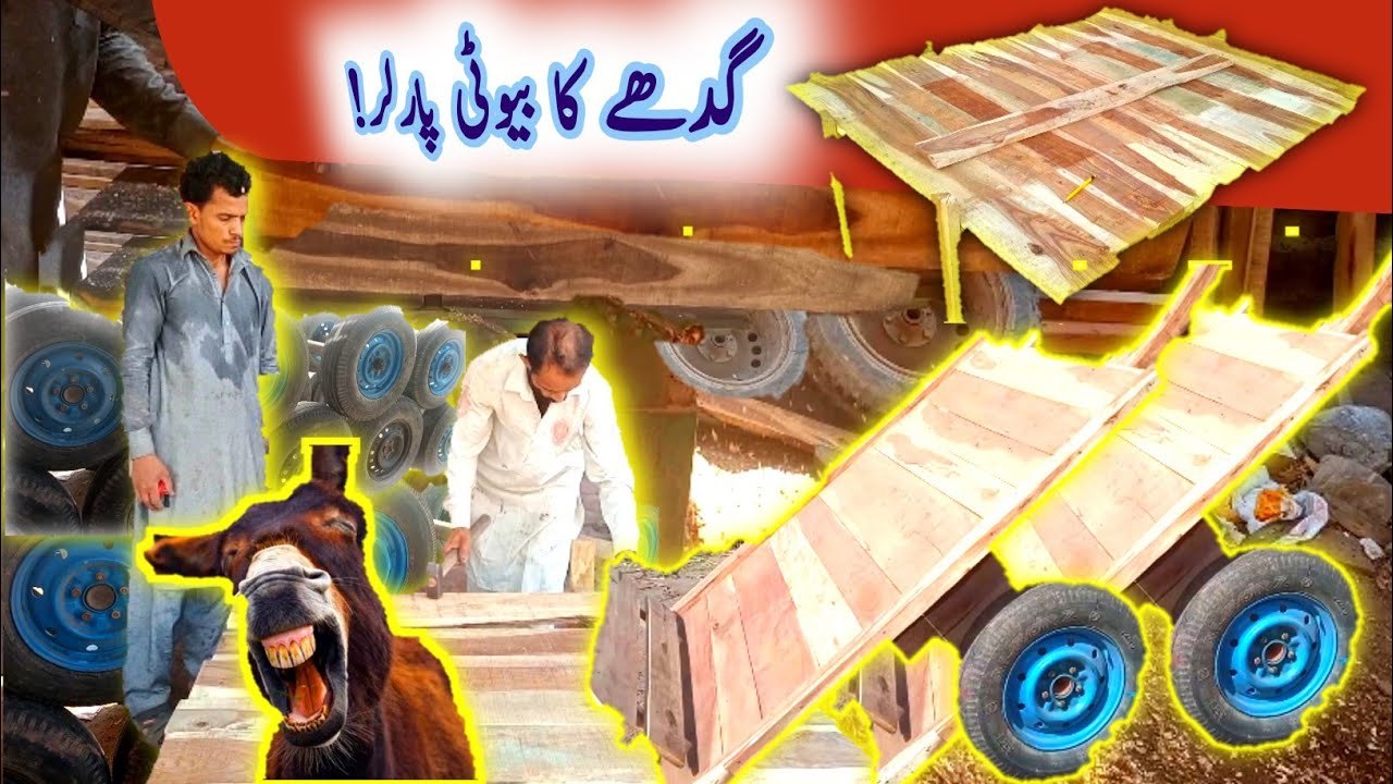 Gadha Gari In Pakistan | Happy happy vlog |