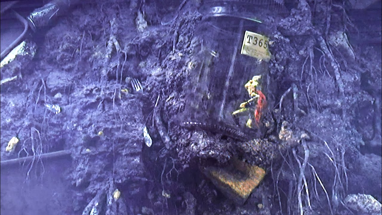 Frog Thor in Loki