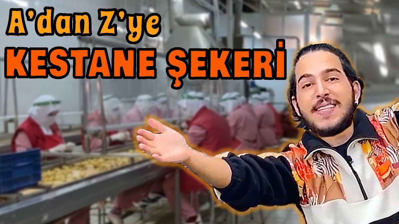 YILDA 800 TON KESTANE ŞEKERİ NASIL YAPILIR? | Bursa Kardelen Kestane Şekeri