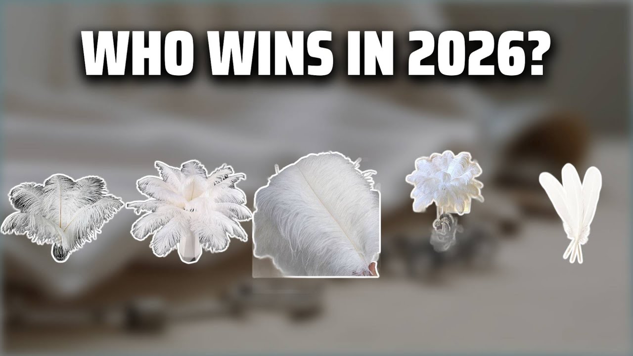 The Top 5 Best Long White Feathers in 2026 - Must Watch Before Buying!