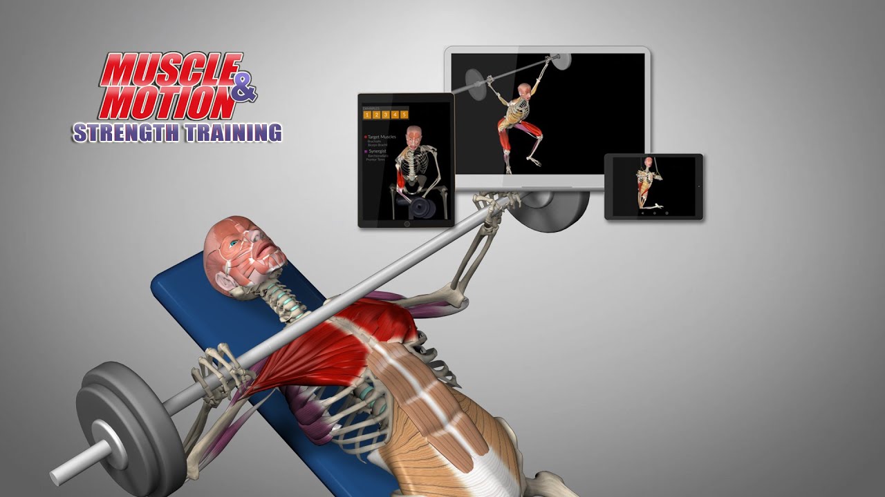 Strength Training app by Muscle and Motion