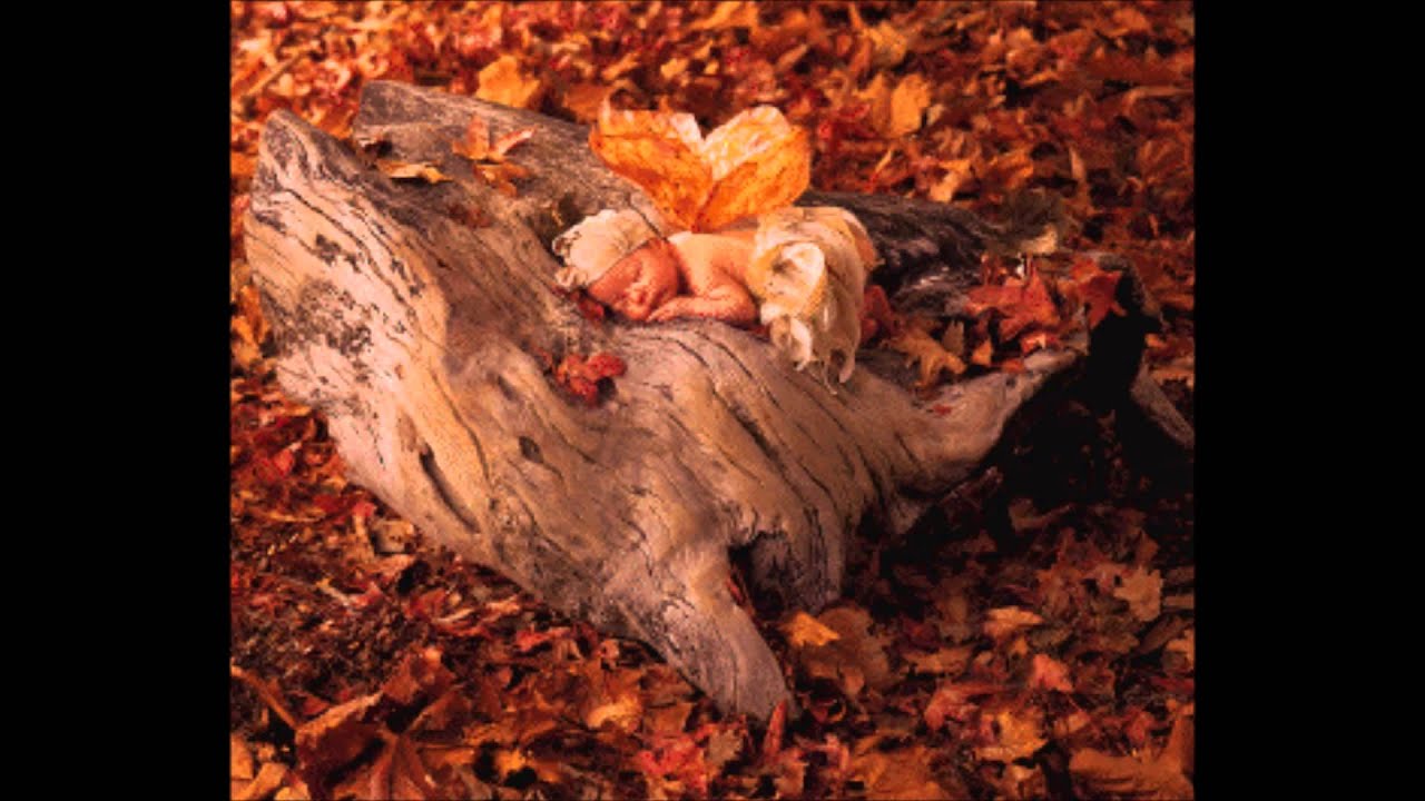 Anne Geddes baby - omaggio all'artista fotografa