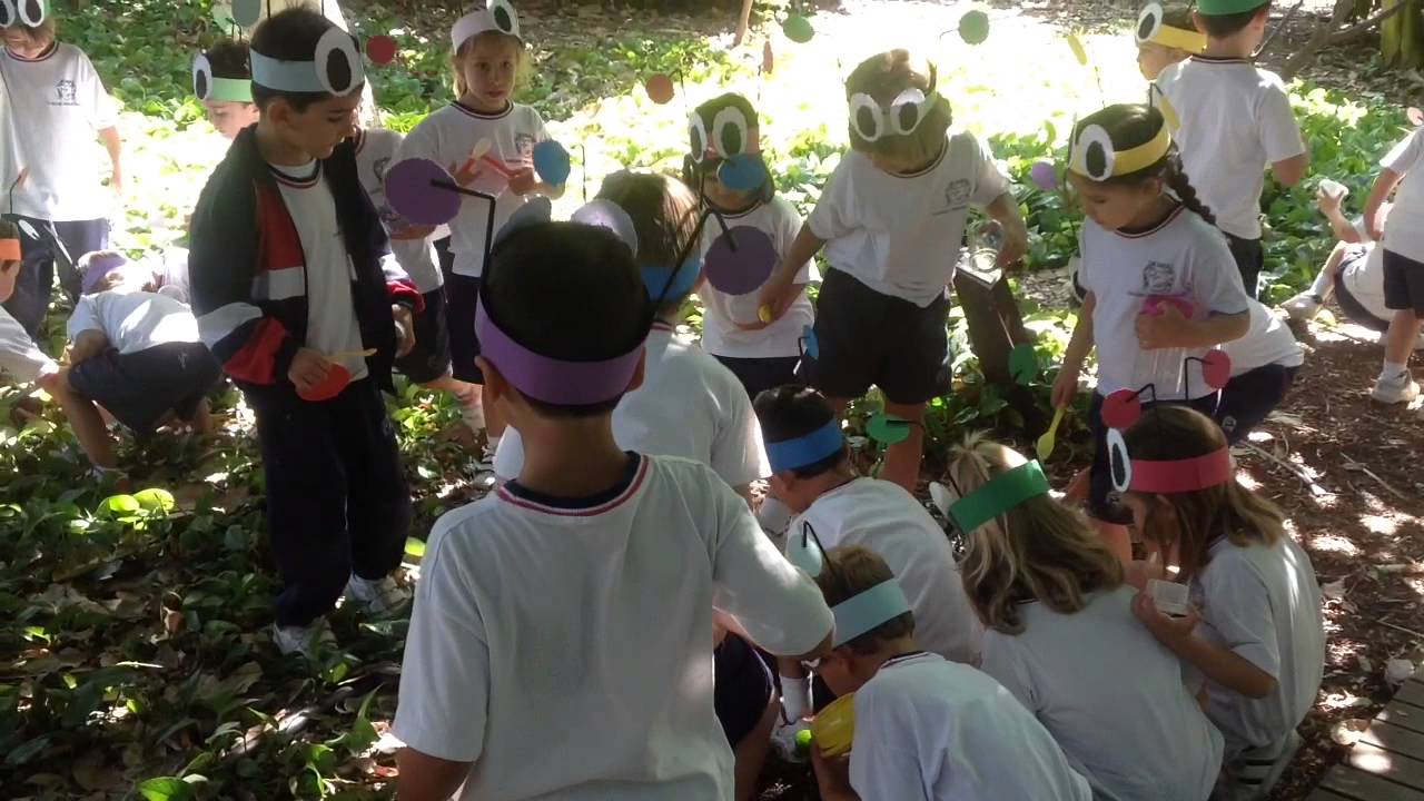 Colegio Hispano Inglés- Los bichos 4 años