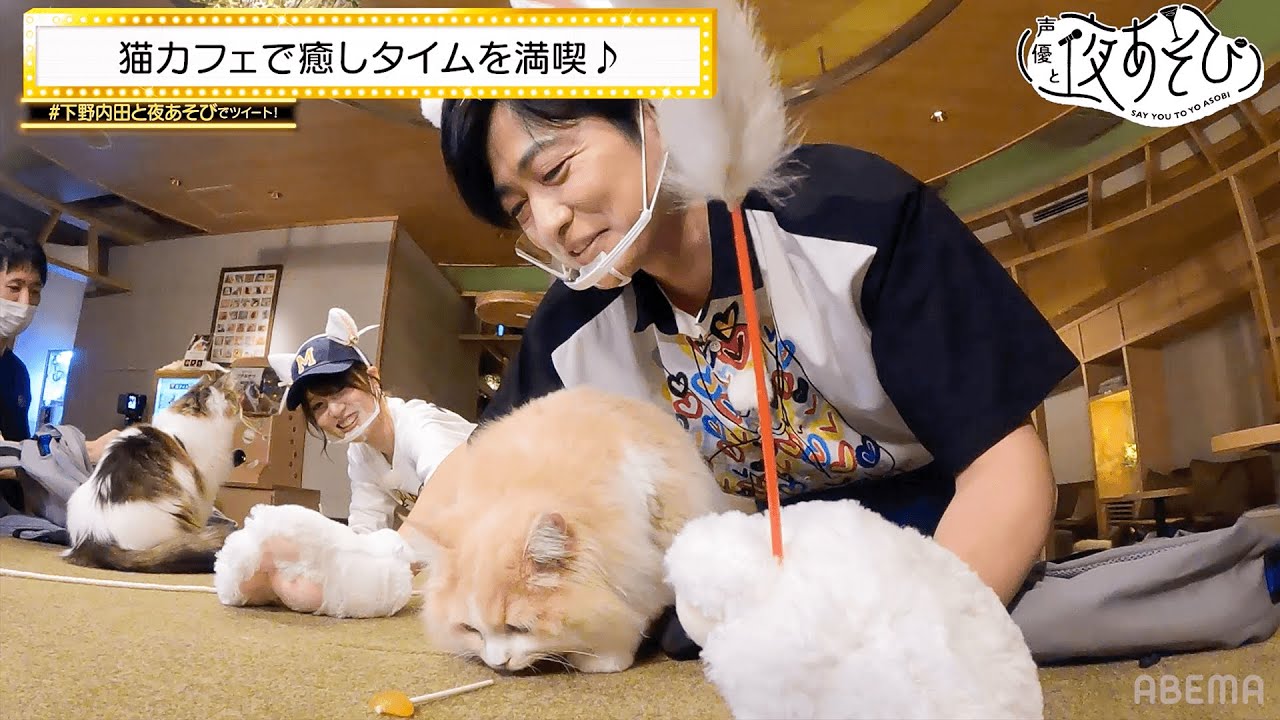可愛すぎて
