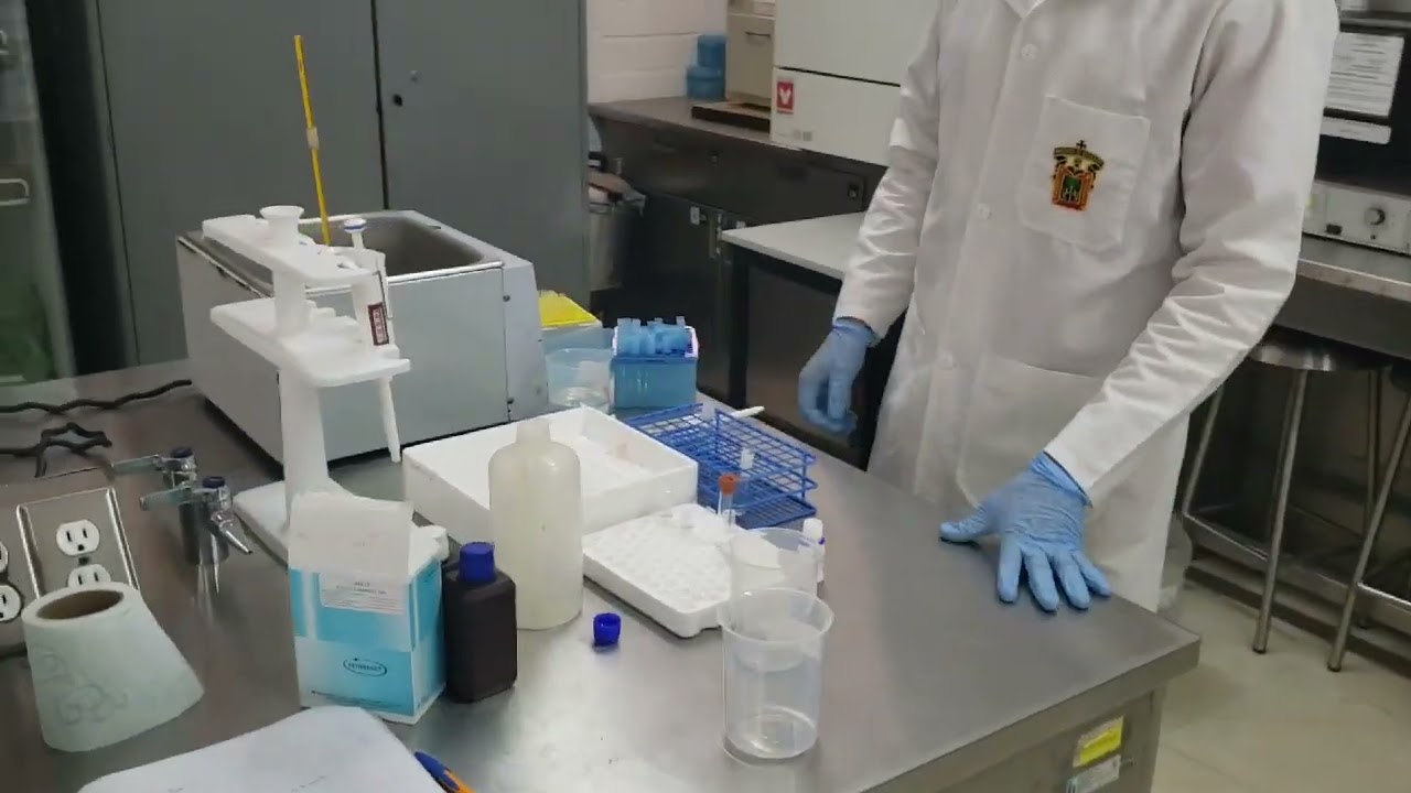 Urea por método de cinética