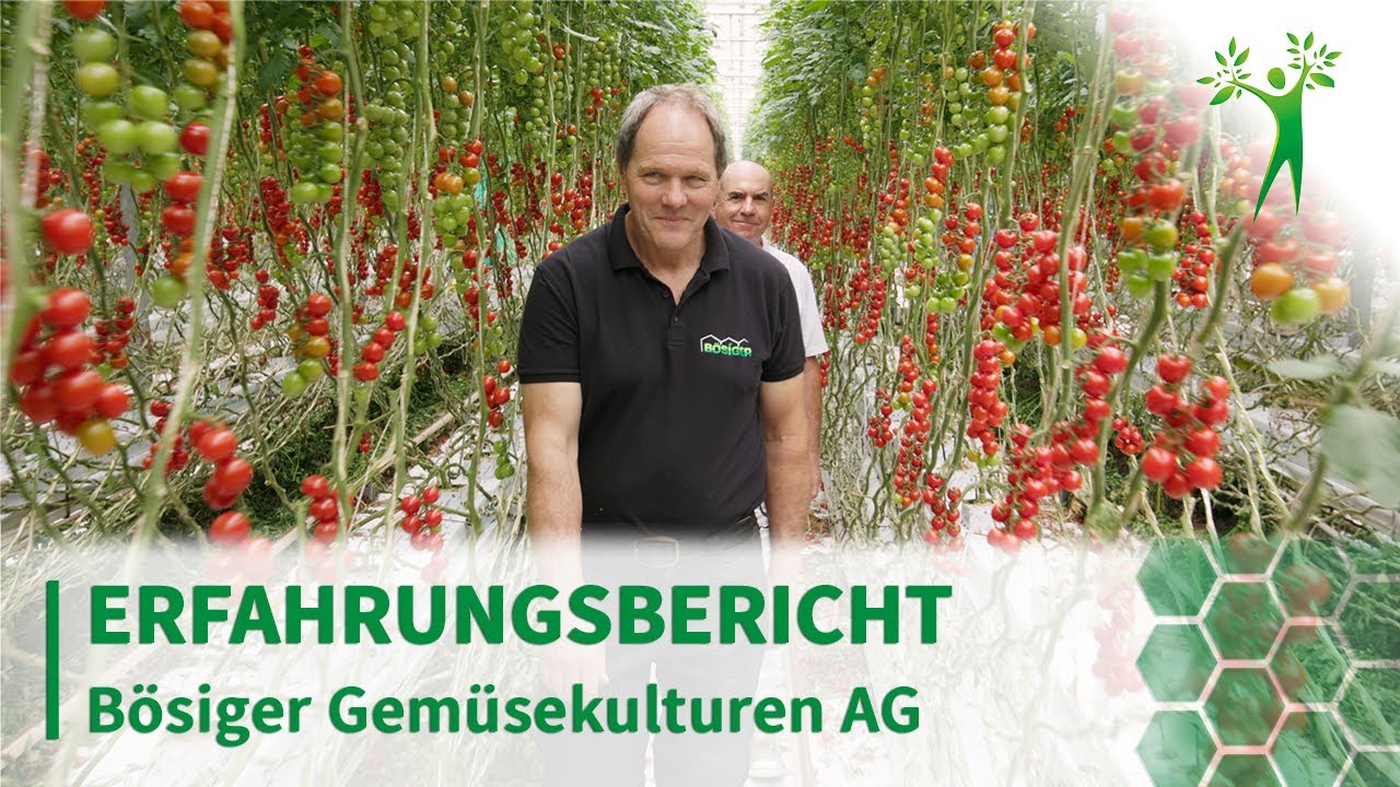 Reifes Gemüse, mehr Frucht und weniger Pestizide