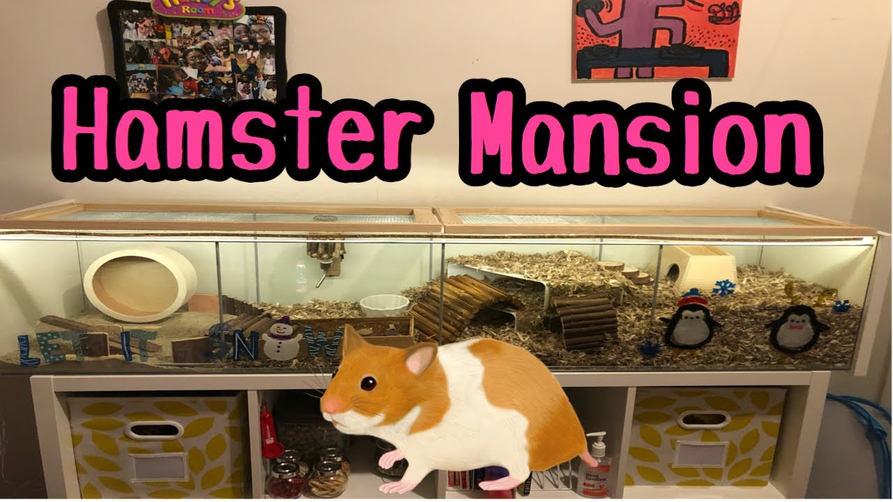 HAMSTER MANSION | IKEA DETOLF HACK