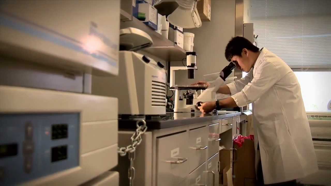 UT School of Medicine at San Antonio