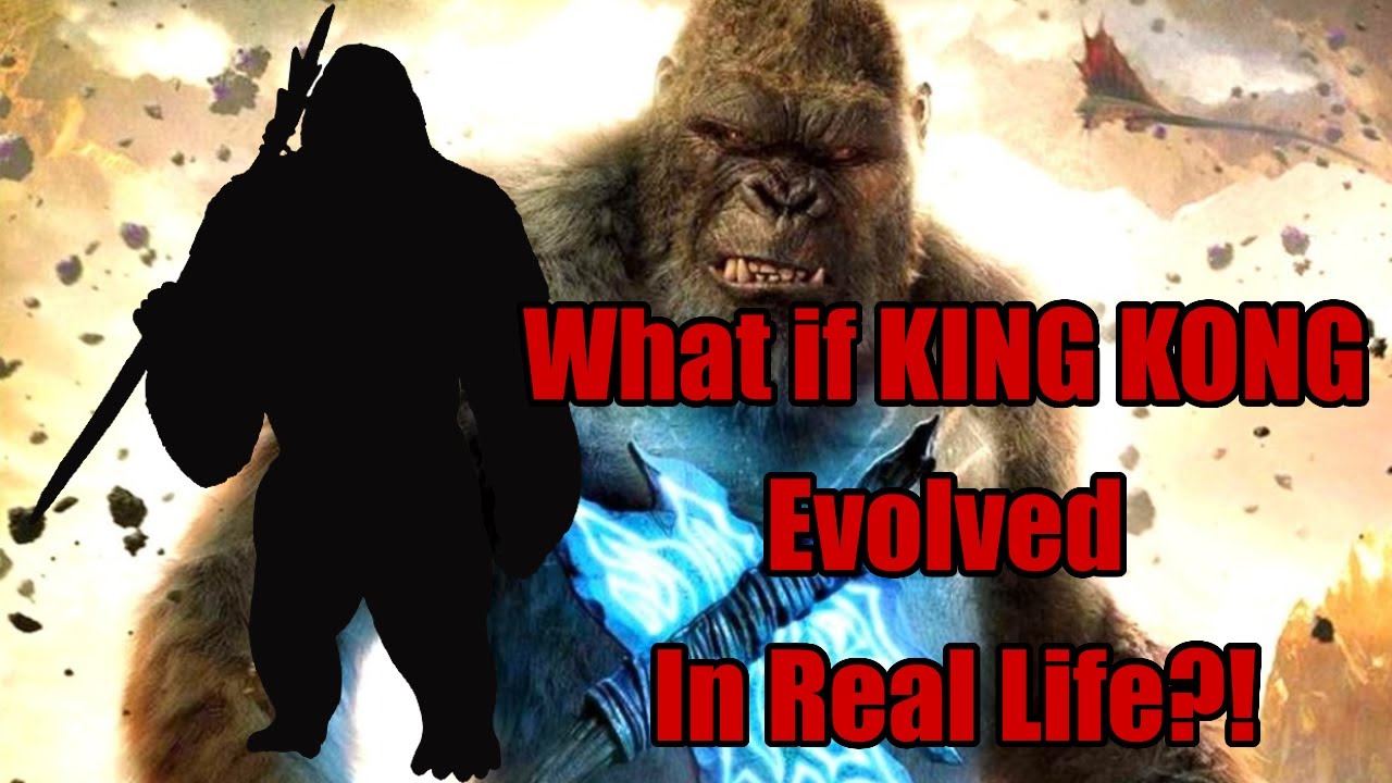 What if King Kong was Real? - The King of Apes