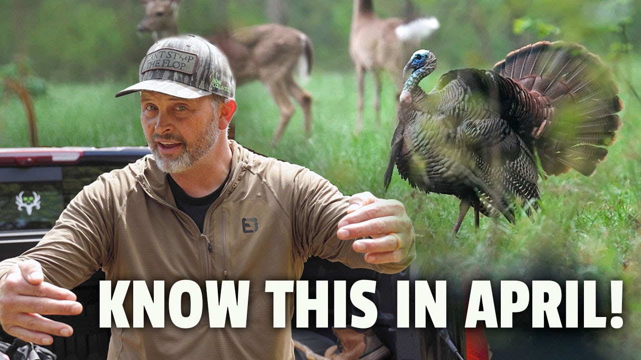 APRIL Tactics FOR MORE TURKEYS. Know the Stages!