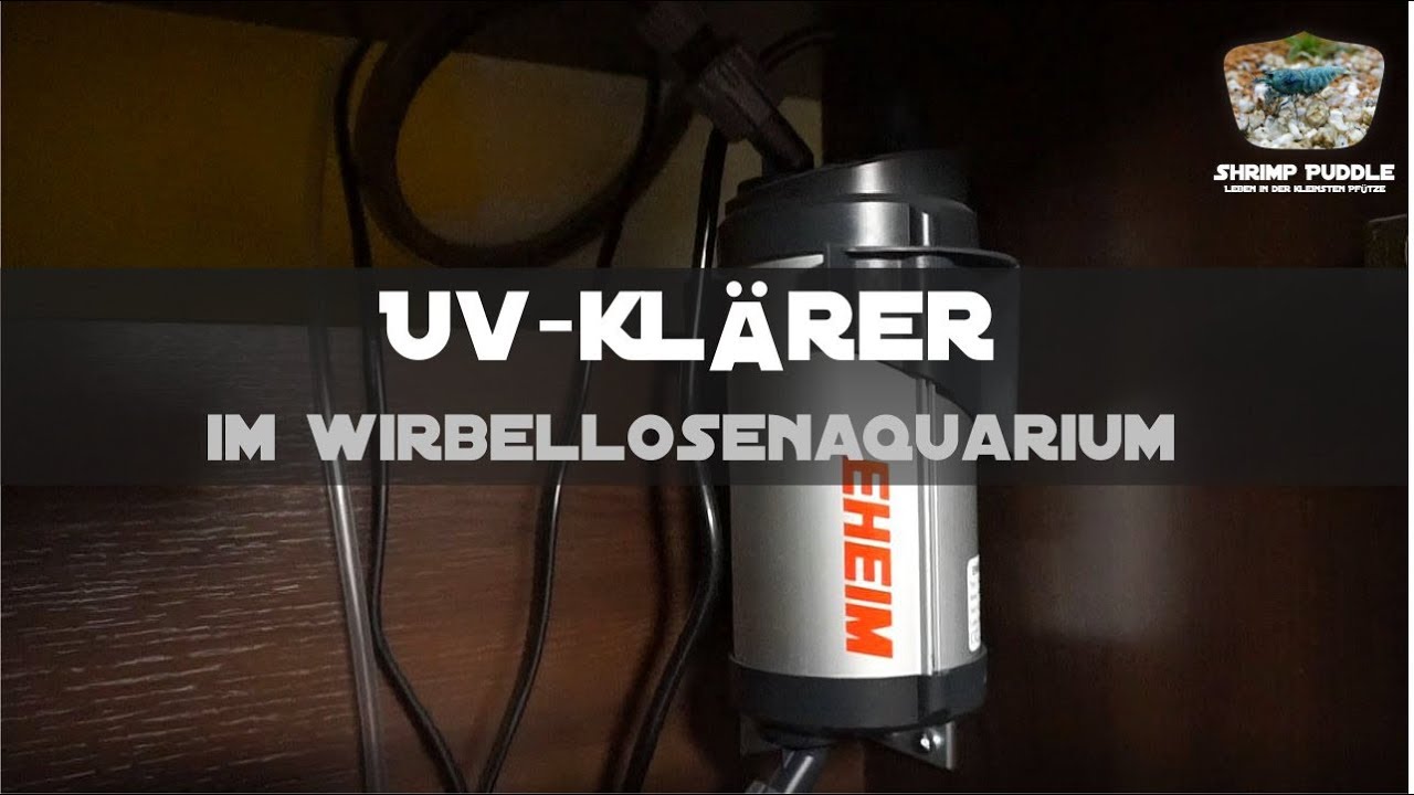 UV-KLÄRER IM WIRBELLOSENAQUARIUM