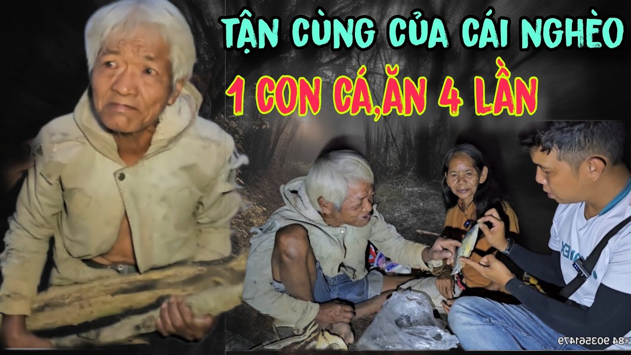XEM XONG SẼ KHÓC,KHI Thấy hoàng cảnh 2 ông bà sống trong rừng,không có cái ăn.vui mừng vì nhận được,
