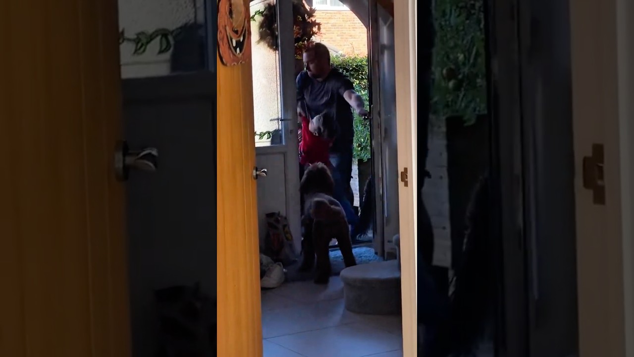 Dad Teaches Kid Not To Open Door For Strangers 😂