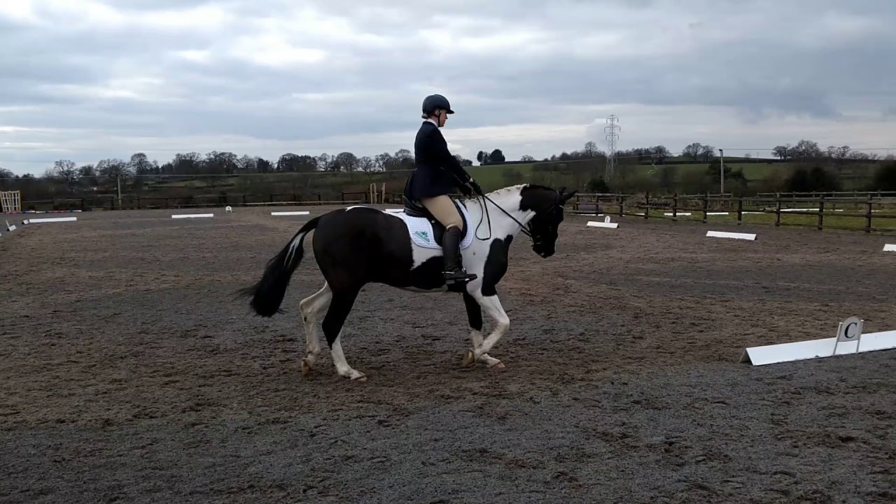 Prelim 7 Dressage test