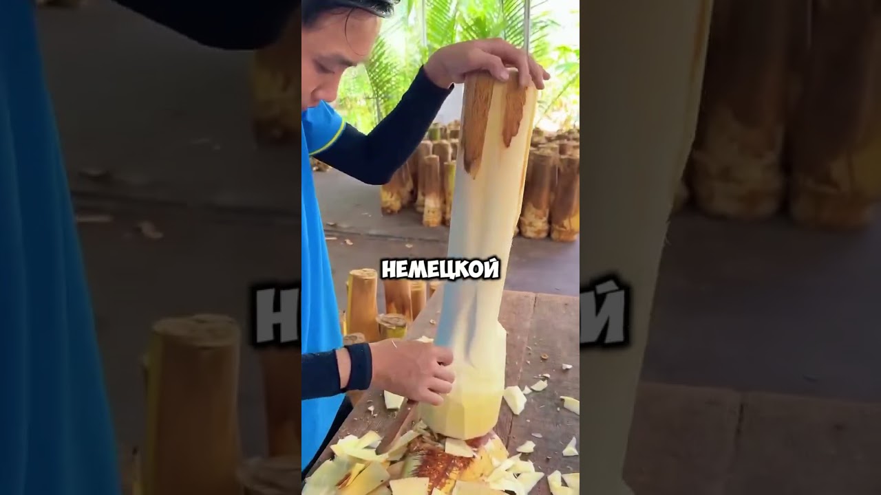 #апвоутреддит&nbsp;#реддит&nbsp;#история&nbsp;#апвоут&nbsp;#redditstories&nbsp;#reddit