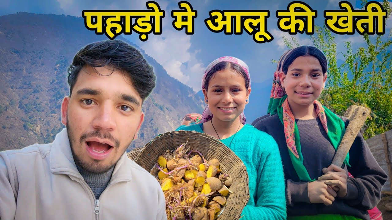पहाड़ो मे आलू कैसे लगाते हैं?||pahadilifestyle||Triyuginarayan||Gaurav vlogs||