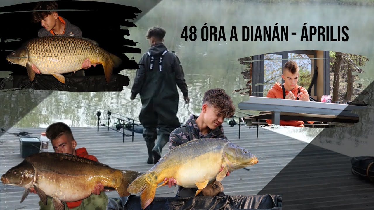 Matuzsálemek nyomában a Diana tavon