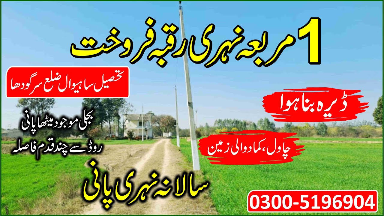 Agriculture Land For Sale in Punjab Pakistan | 25 Acre Agriculture Land for sale | Zari Zameen