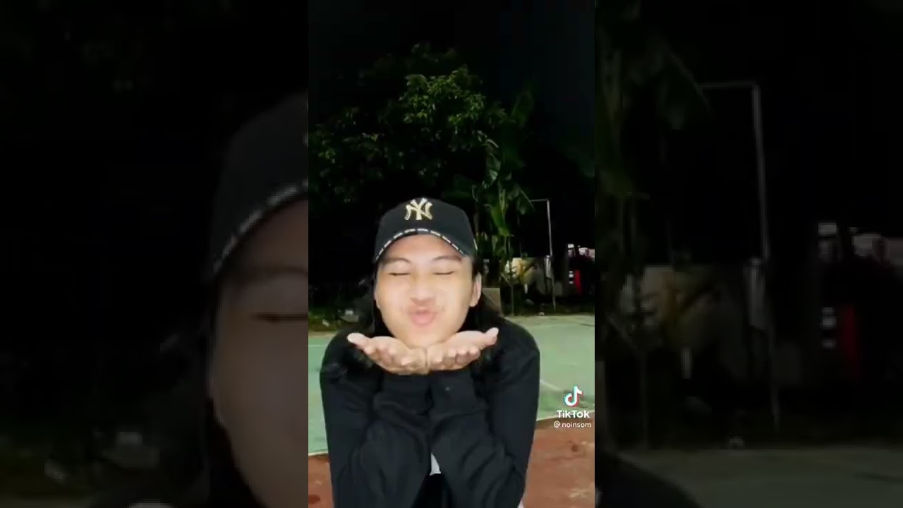 noinsom