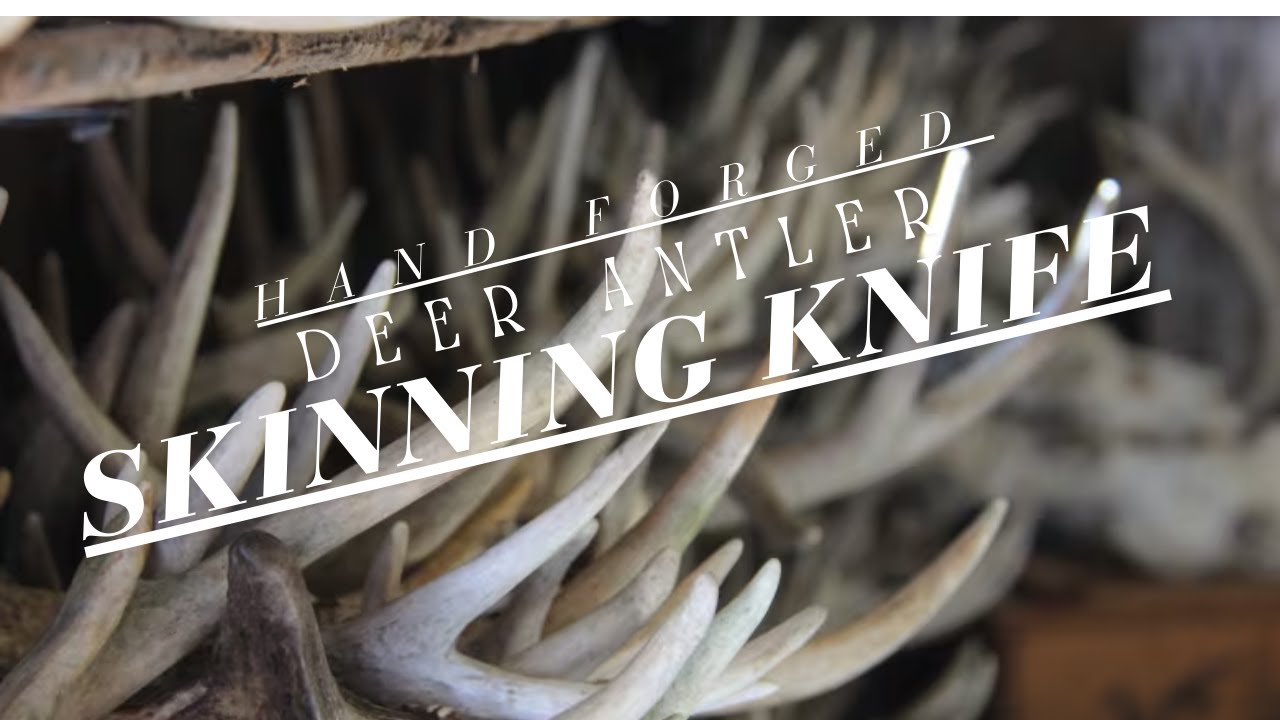 The Deer Antler Skinner Knife