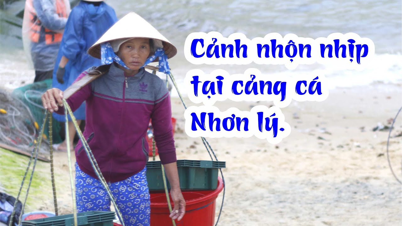 Hoạt động nhộn nhịp của cảng cá Nhơn Lý mỗi sớm mai.
