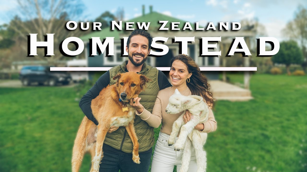 Moving into our Homestead on 2 1/2 acres | Our Crazy First Week