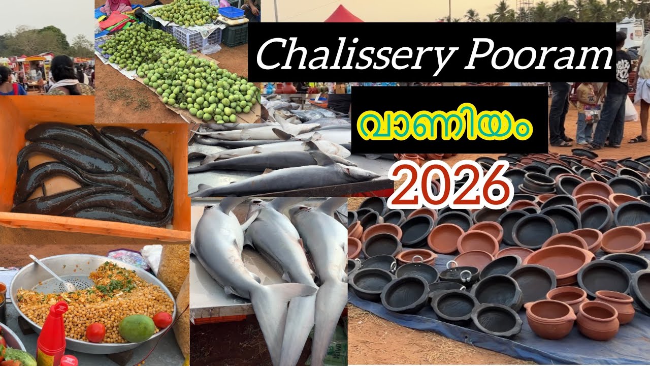 Chalissery Pooram Vaniyam 2026 || ചാലിശ്ശേരി വാണിയം 💯 #chalissery #vaniyam #trendingvideo #viral 