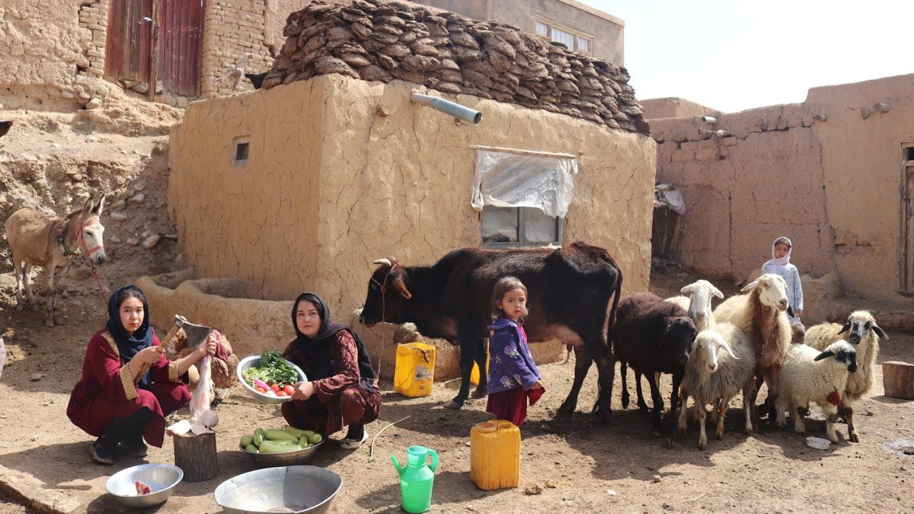 A Day in Primitive Mountain Life of Afghanistan | Real Village Food & Survival