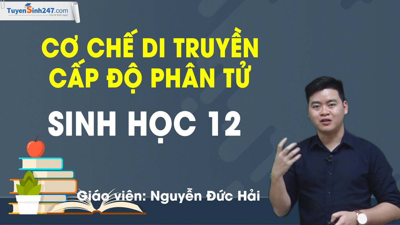 Cơ chế di truyền cấp độ phân tử - Sinh học 12 - Thầy Nguyễn Đức Hải