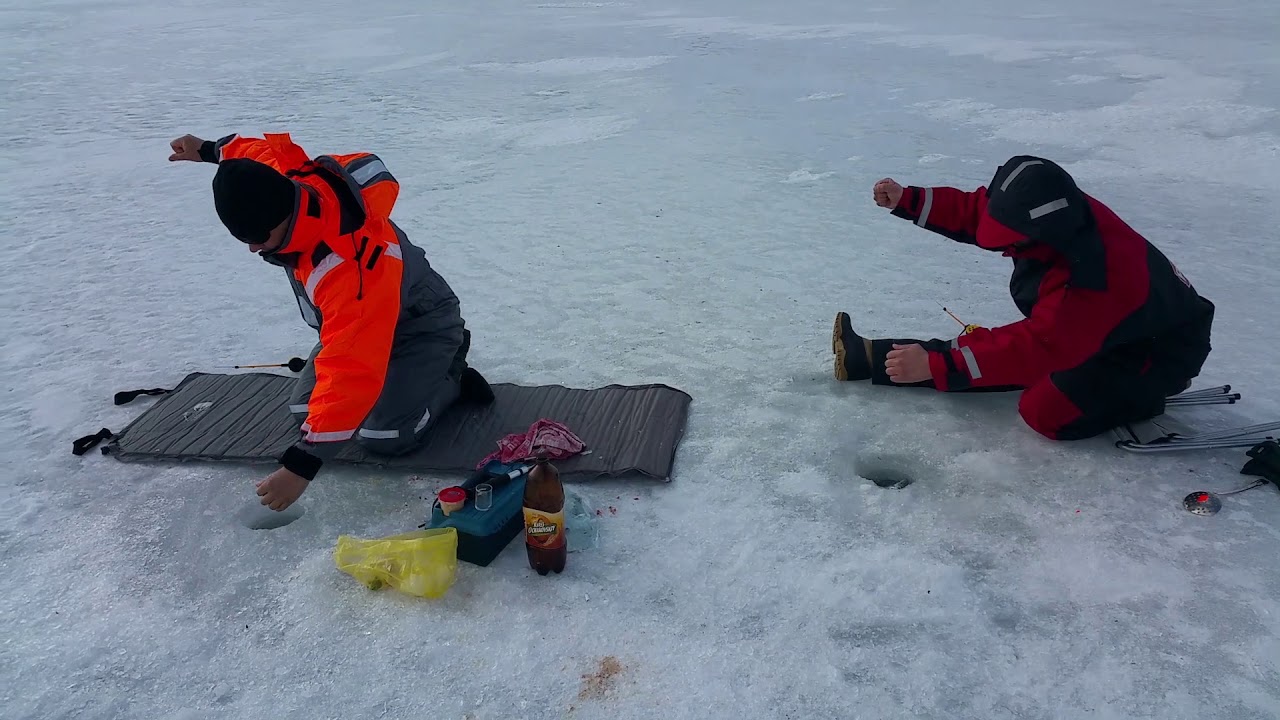 Storuman  Schweden  Fisching April 2017
