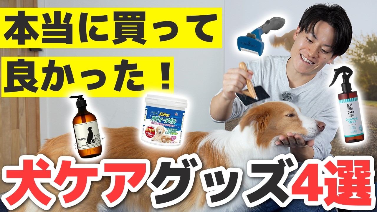 【犬のニオイ対策】ラスカルが“臭わない理由”はコレ！毎日できるニオイケア＆おすすめアイテム4選
