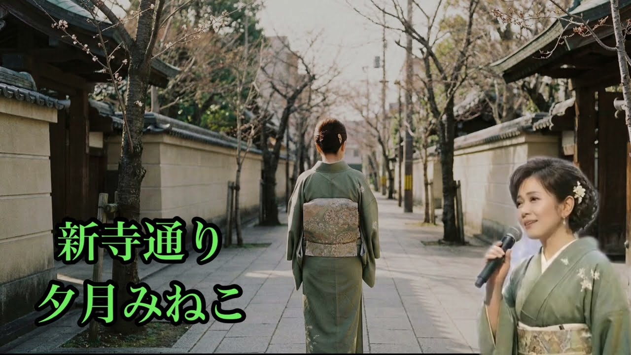 新寺通り　夕月みねこ