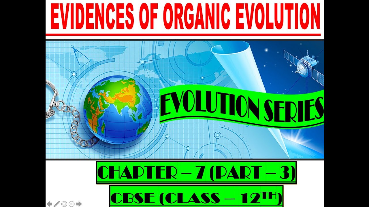 Evidences of organic evolution (part-3)